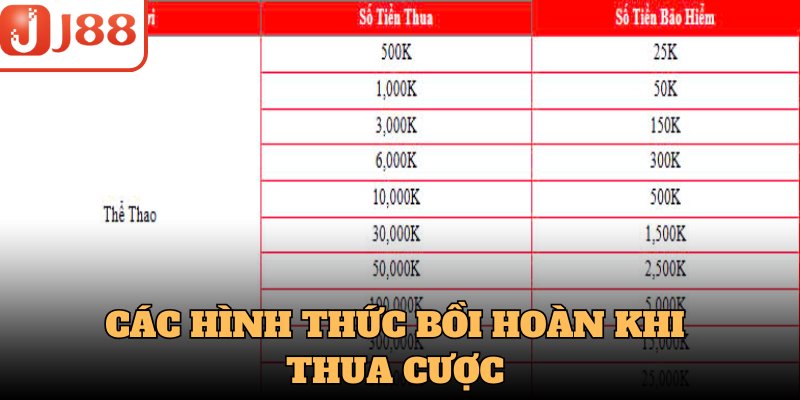 Các hình thức bồi hoàn khi thua cược