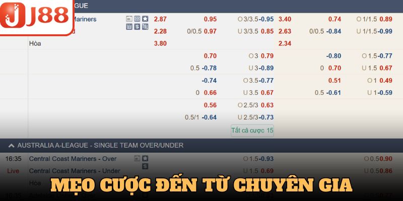 Chia sẻ từ chuyên gia giúp chiến thắng cá cược