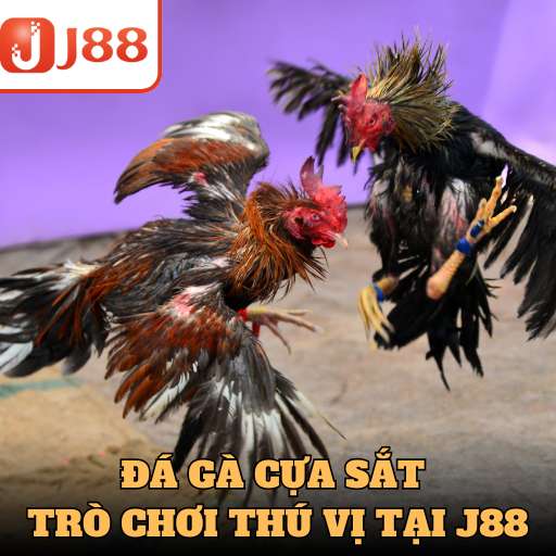 Đá Gà Cựa Sắt - Trò Chơi Giải Trí Thú Vị