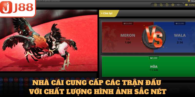 Nhà cái cung cấp các trận đấu với chất lượng hình ảnh sắc nét, sinh động