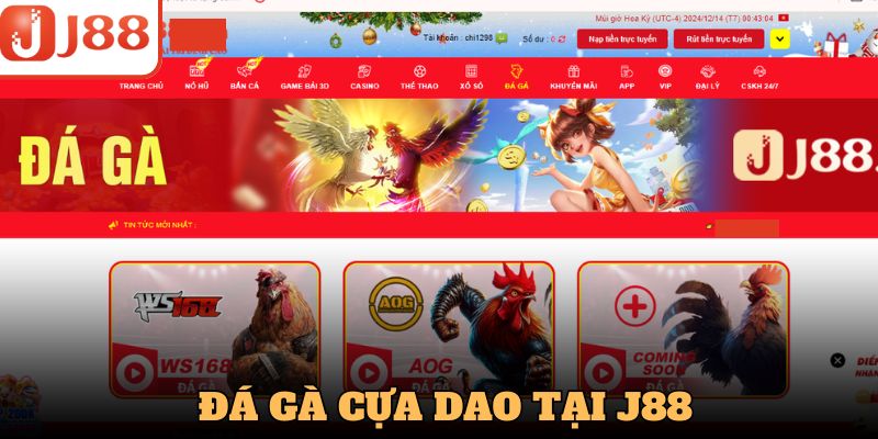 Giới thiệu nét cơ bản của Đá gà cựa dao Gamebet